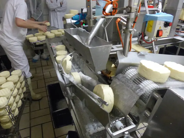 fabrication de camembert en usine