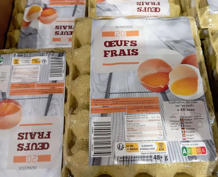 oeufs