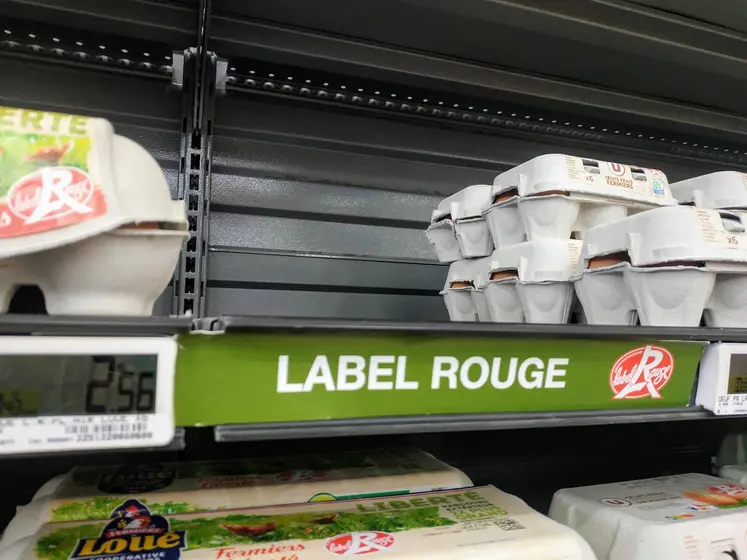 rayon oeuf