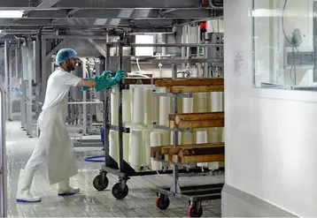 La coopérative fabrique une large gamme de 
fromages : provolone, ricotta, mozzarella…