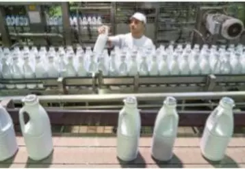 Pour la Journée mondiale du lait, initiée en 2001 
par la FAO, une douzaine d’usines et une centaine 
de fermes accueillent le public du 30 mai au 10 juin.