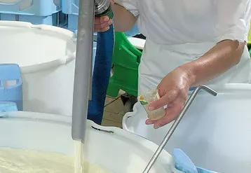 Les fabricants de fromage traquent les STEC depuis la ferme jusqu’à la cave d’affinage, (ci-dessus fabrication de camemberts au lait cru à la laiterie-fromagerie du Val d’Ay).