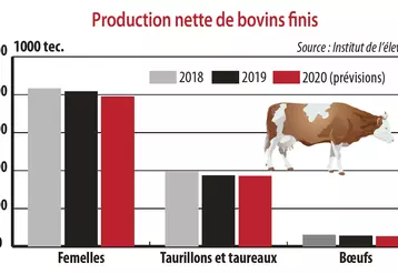 Evolution de la production nette de bovins finis