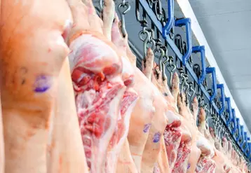 Modernisation des abattoirs