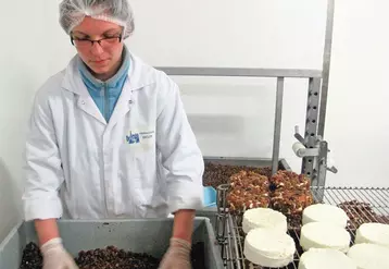La Fromagerie Delin a été précurseur dès 1998, en matière d’aromatisation des fromages double crème frais : cranberries, papaye, truffes, pain d’épice…Les fromages affinés peuvent eux aussi être aromatisés. Parmi les produits les plus recherchés: le Brillat Savarin fourré à la truffe d’été d’Italie.