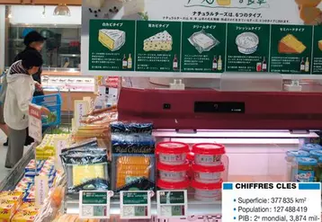 La consommation de fromage au Japon est actuellement de 2 kg/an/hab. (1,6 kg/an/hab. en 1998). La France exporte 7 141 t de fromages au Japon dont 67 % de fondus et 33 % de fromages naturels et frais.