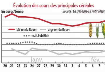 Evolution des cours des principales céréales