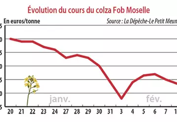 Evolution des cours du colza