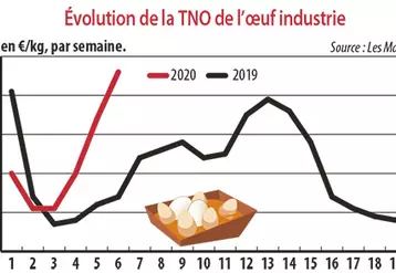 Evolution de la TNO de l'oeuf industrie