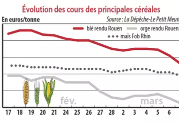 Evolution des cours des principales céréales