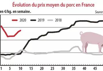 Evolution du prix moyen du porc en France