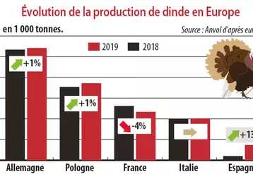 Evolution de la production de dinde en Europe