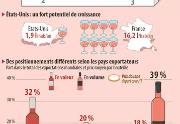 marché mondial du vin rosé