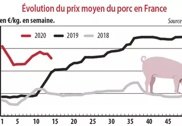 evolution du prix moyen du porc en France