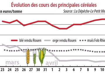 Evolution des cours des principales céréales