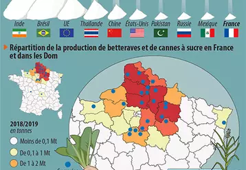 La production sucrière française en chiffres clés