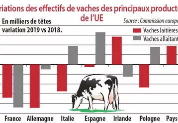 Variations des effectifs de vaches des principaux produtions de l'UE