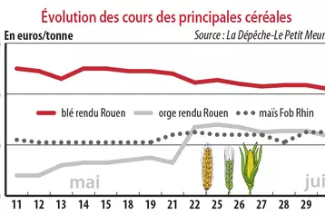 Evolution des cours des principales céréales