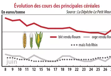 Evolution des cours des principales céréales