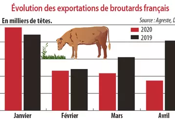 Evolution des exportations de broutards français