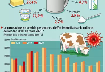 Infographie produits laitiers