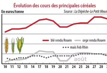 Evolution des cours des principales céréales