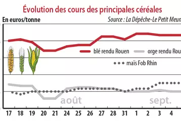 Evolution des cours des principales céréales