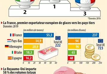Infographie glaces
