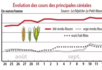 Evolution des cours des principales céréales
