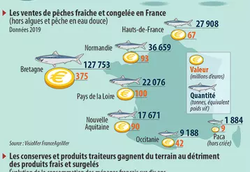 Infographie poissons