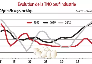 Evolution de la TNO œuf industrie