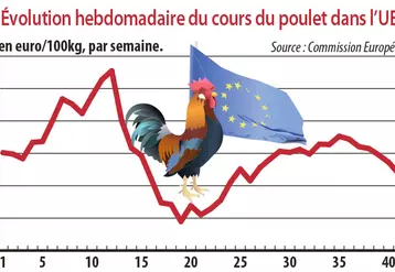 Evolution hebdomadaire du cours du poulet dans l'UE