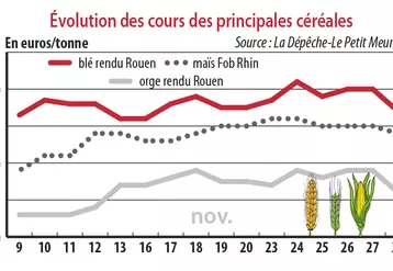 Evolution des cours des principales céréales