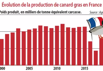 evolution de la production de canard gras en France