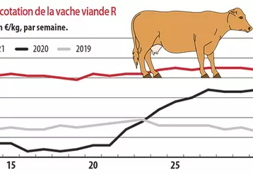 Evolution de la cotation de la vache viande R