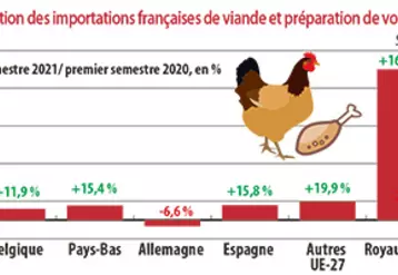 Évolution des importations françaises de viande et préparation de volaille