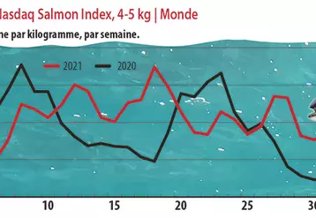 Évolution du Nasdaq Salmon Index, 4-5 kg | Monde 