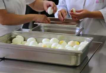 Si l'œuf dur est apprécié par les cantines, l'œuf liquide reste en tête des achats.