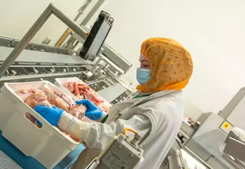Une employée de l'entreprise Van Bogaert examine les pièces de porc avant de les renseigner sur f-TRACE