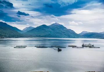 La filière écossaise produits de la mer compte 603 sites d'aquacultures.
