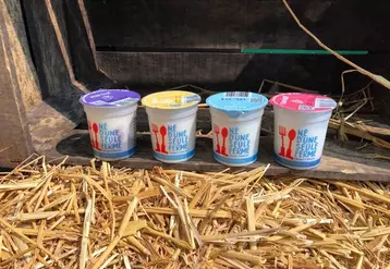 Les yaourts de la start-up Né d'une seule ferme permettent une valorisatinon du lait de 500 euros les 1000 litres. © Né d'une seule ferme