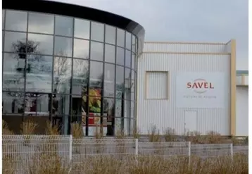 Les ventes de pintades de Savel sont en baisse de 30% à 35%. © DR