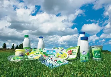 En 2018, la moitié des produits laitiers bios achetés étaient des produits sous MDD, selon le panel Kantar © F. Thery