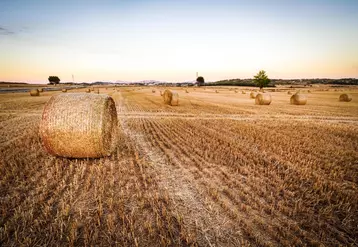 Les industries agroalimentaires sont particulièrement exposées aux changements climatiques déjà en cours appelés à s’accélérer. © Carbone 4