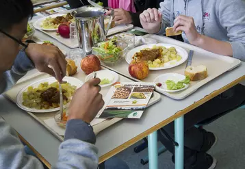 La Coopération agricole estime que la restauration collective constitue un « vecteur pour recréer du lien entre villes et campagnes ». ©  ...