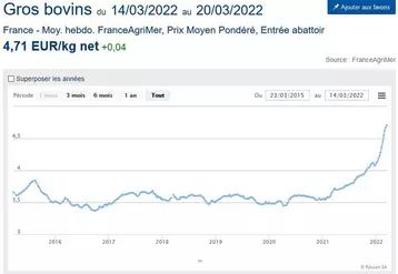 Gros bovins : les prix montent encore, mais plus timidement