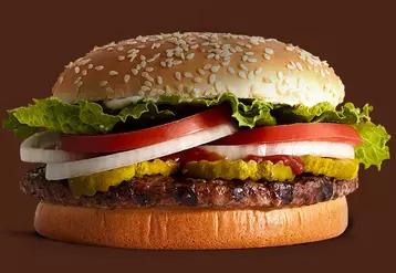  © Burger King