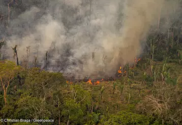 Incendie dans la réserve de Jaci-Paraná, à Porto Velho dans l'Etat de Rondônia (Brésil). © © Christian Braga / ...