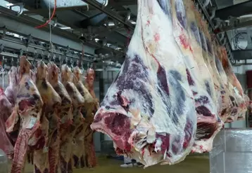 Viande britannique