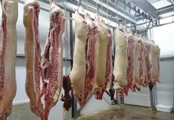 Depuis longtemps, les industriels de la viande déplorent le dumping social dont ils s'estiment victimes.  © DR